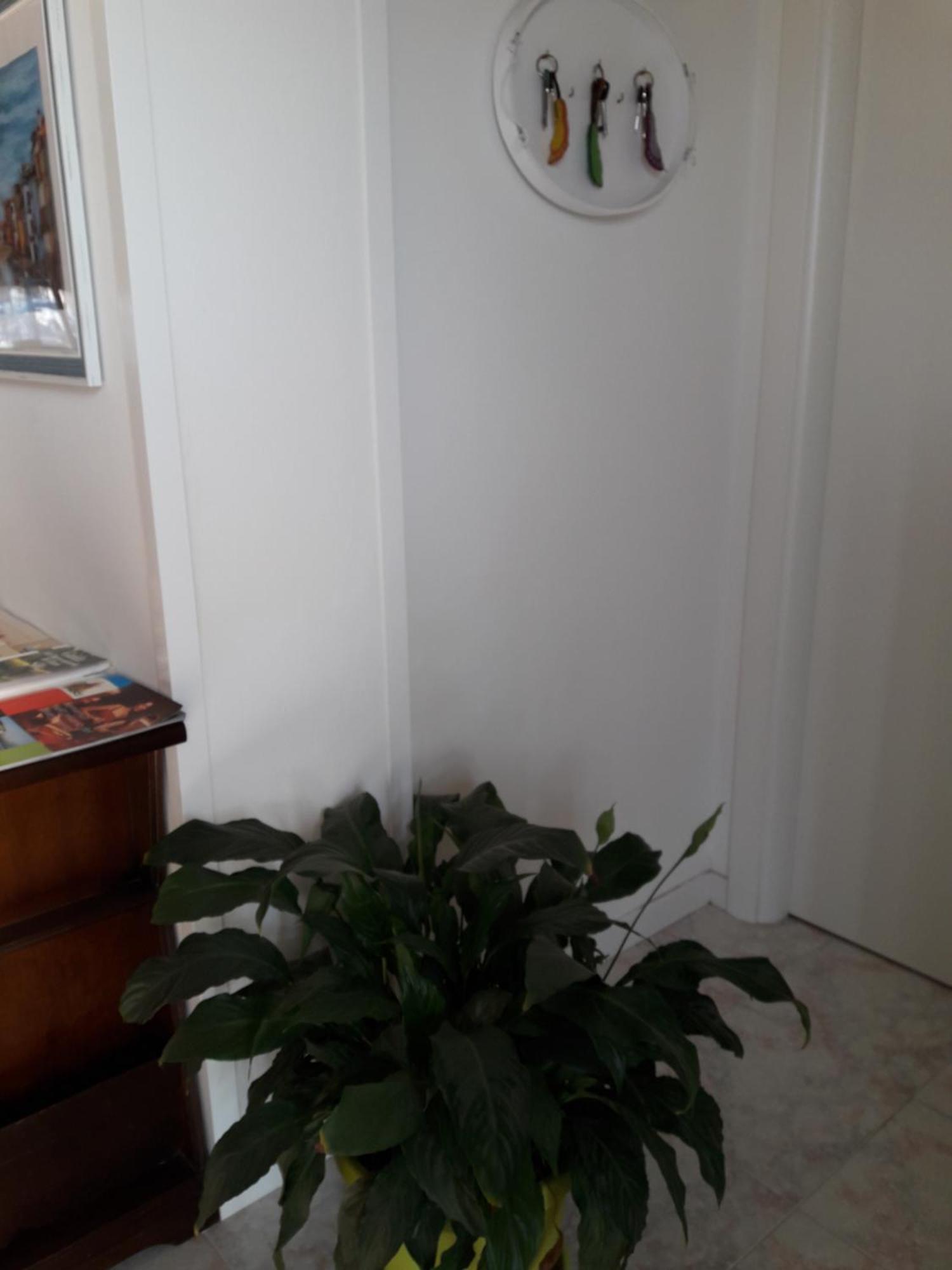 B&B A Un Passo Da Casale sul Sile Exteriör bild